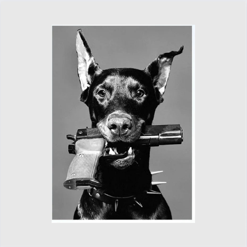 Paws and Pistols
